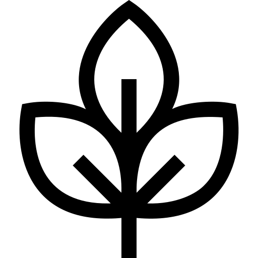 Przyjazny Weganom